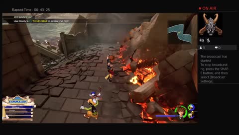 rip goofy