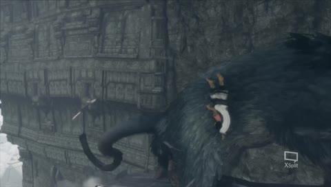 [Lima] 신입 스트리머 입니다~~ the last guardian