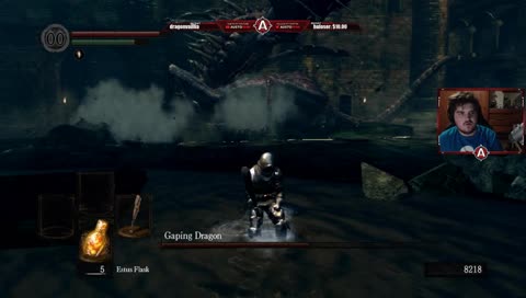Professional Dark Souls Player - WILL NOT DIE :)
