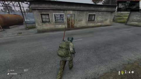 Dayz survival