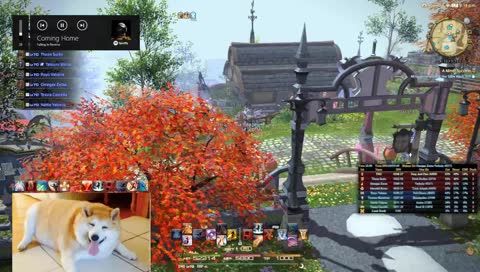 Trying to beat the tryhard RDM