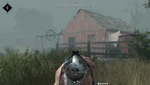 Back to the Bayou
