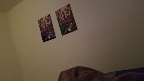 dell2425's mobile stream