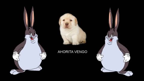 JUGANDO CON SEGUIDORES :D