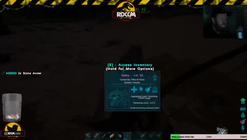 punchy tree, kicky rock..... killy dino?