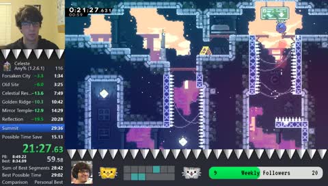 Any% Speedruns for low 29