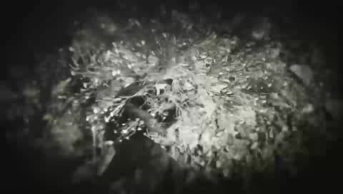 Completando trofeos de Red Dead Redemption 2