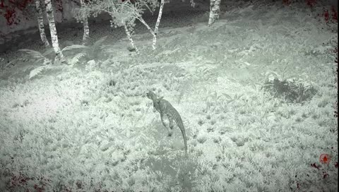 Играю, общаюсь, приятно провожу время