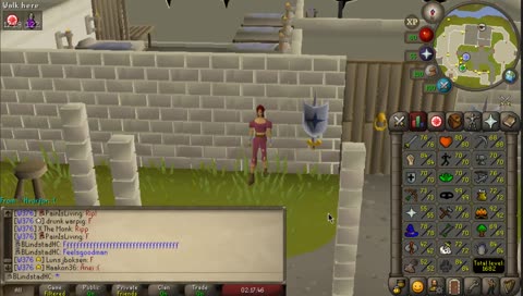 HCIM TRIES TO KILL SCARY DRAGON OSRS
