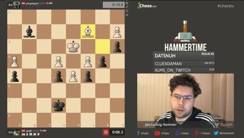 flagging the penguin