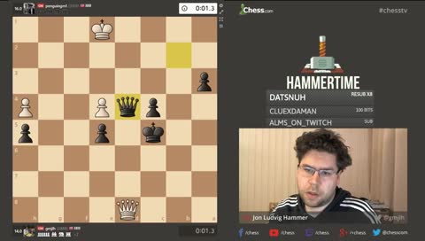 hammer flags penguin