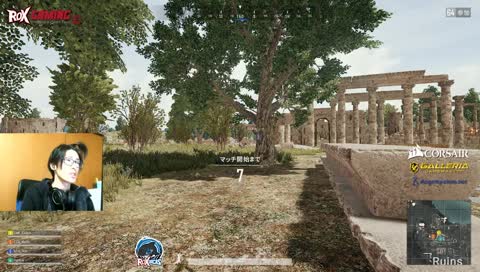 [ROX]配信テストかねてカスタム