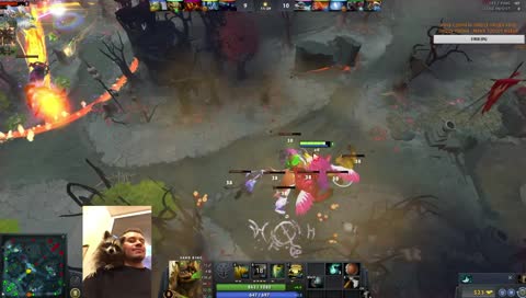 🐷🐷🐷✔✔✔