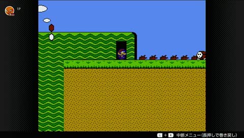 It was all turnips. 全部、蕪だった