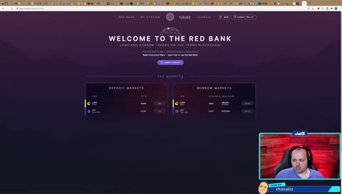 Azulzinho depois do banho