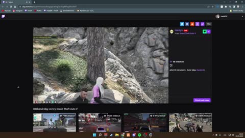Jak se refunduje sub?