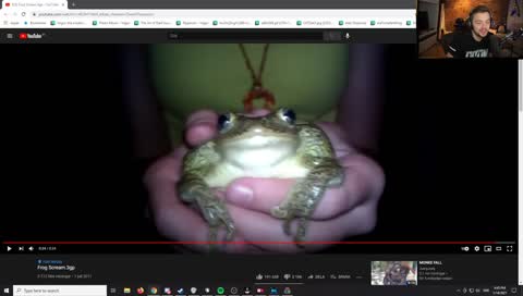 the best meme