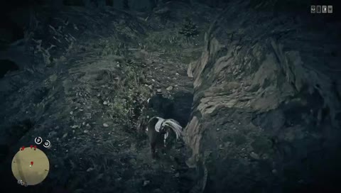 Bananskall?!