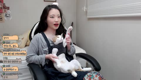 귀여운 박하