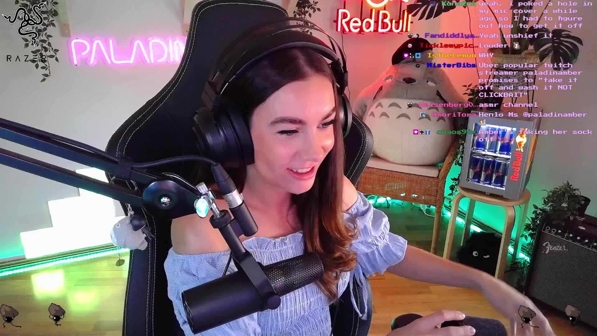 Paladinamber Twitch