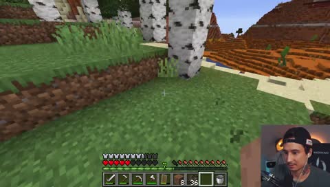 Tod durch Creeper