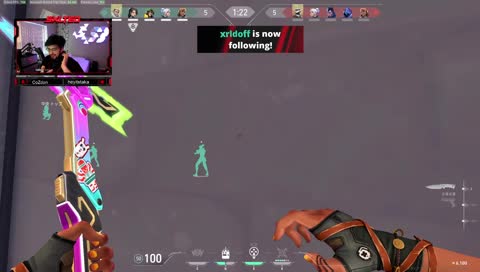 small streamer calls off work after hiko raid