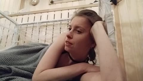 У меня пропала кошка...