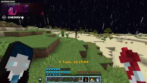 Warte mal, wurde der Enderman gerade vom...?