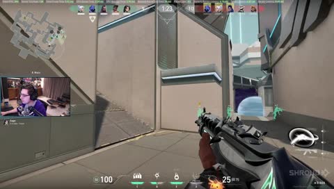 insane flick
