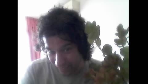 Green Zone. Plant it out.