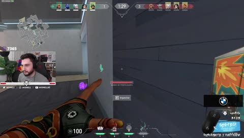 xd