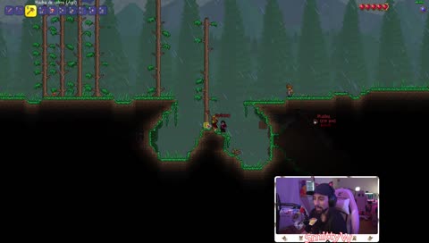 Dosekai VS Arbol