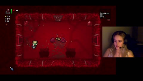 silly streamer is silly