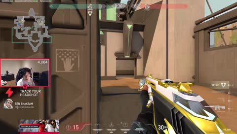 vice new team?