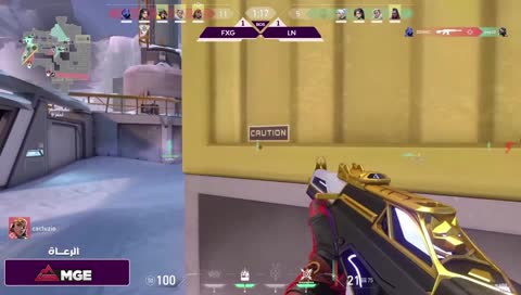 zoe raybous zodiac :D