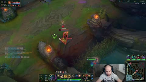 Полёт нормальный