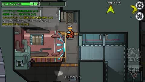 めがさんに怯えまくるきのさん