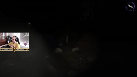 mysigt