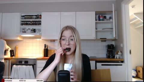 mouth.exe stopped working