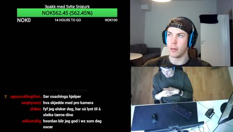 Moderne blomsten og bien