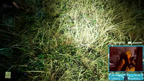 Piippolan vaarin kosto