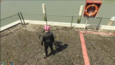 Thumbnail for this clip