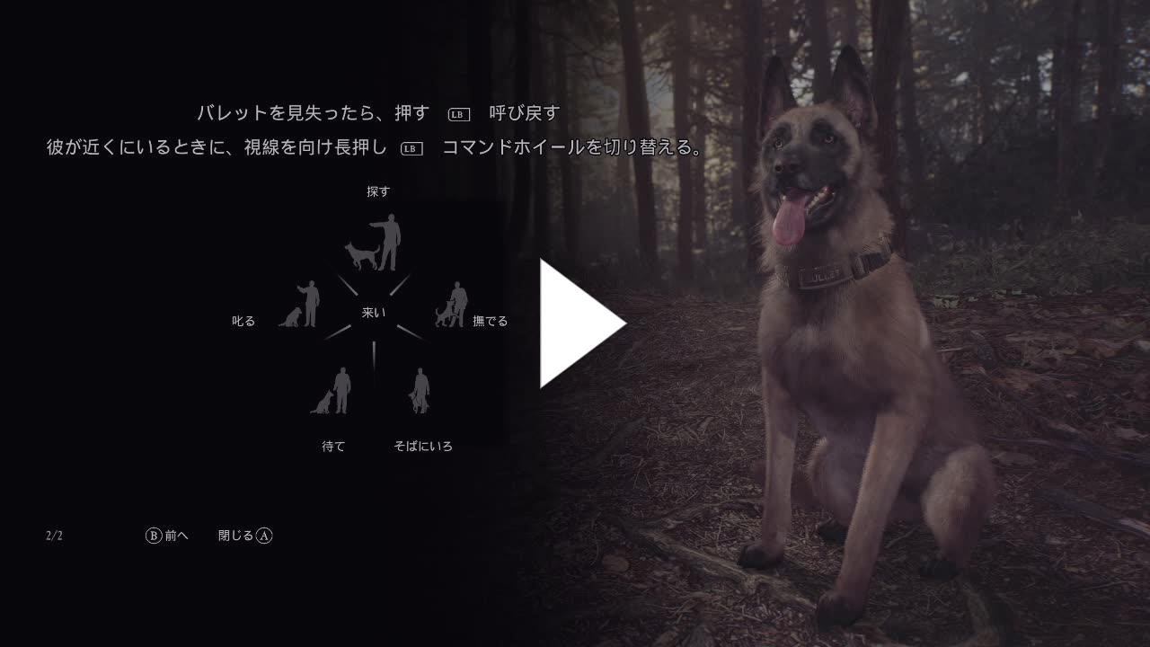 Ryou Sasayaki Twitch