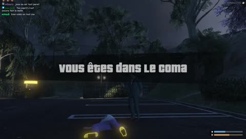 Oh p*taing y'a une mouette !