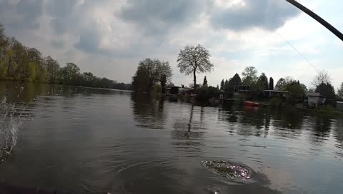 Hecht Nummer 1 ♥ am 1.5.21