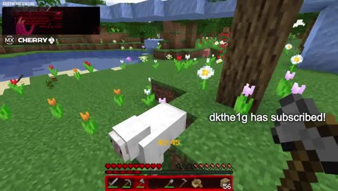 basti rastst (will nur weiße wolle)