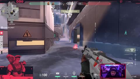 Dhalu blind-bug