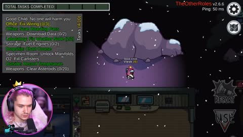 "Timit ist tot, alles mögen das" -Vlesk