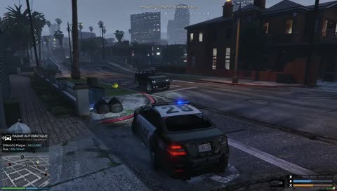 On a fait combien de tortue aujourd'hui ?