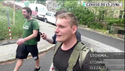 kočka z mcdonaldu pod autem